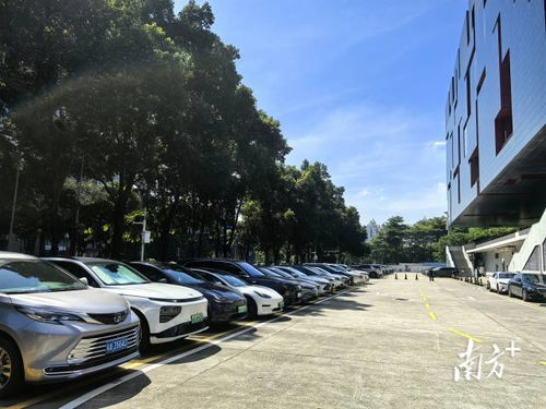 廣東省博物館回應(yīng)車庫禁停新能源車 基于消防安全要求，非歧視性政策